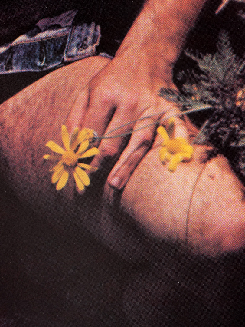 a muscular male thigh pressed down into the grass alongside yellow flowers