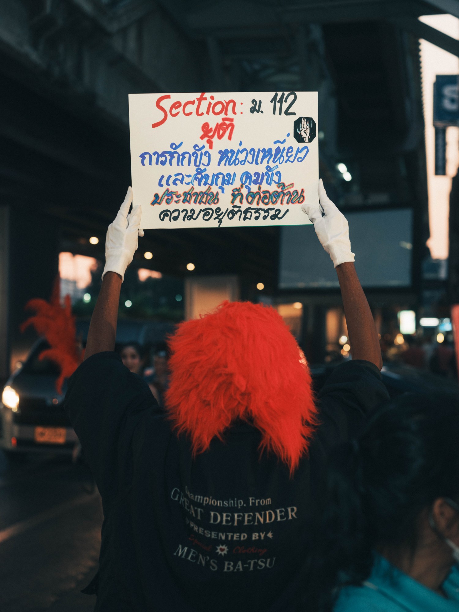 a person in a fluffy red hat and white gloves holds a Section 112 protest sign above their head