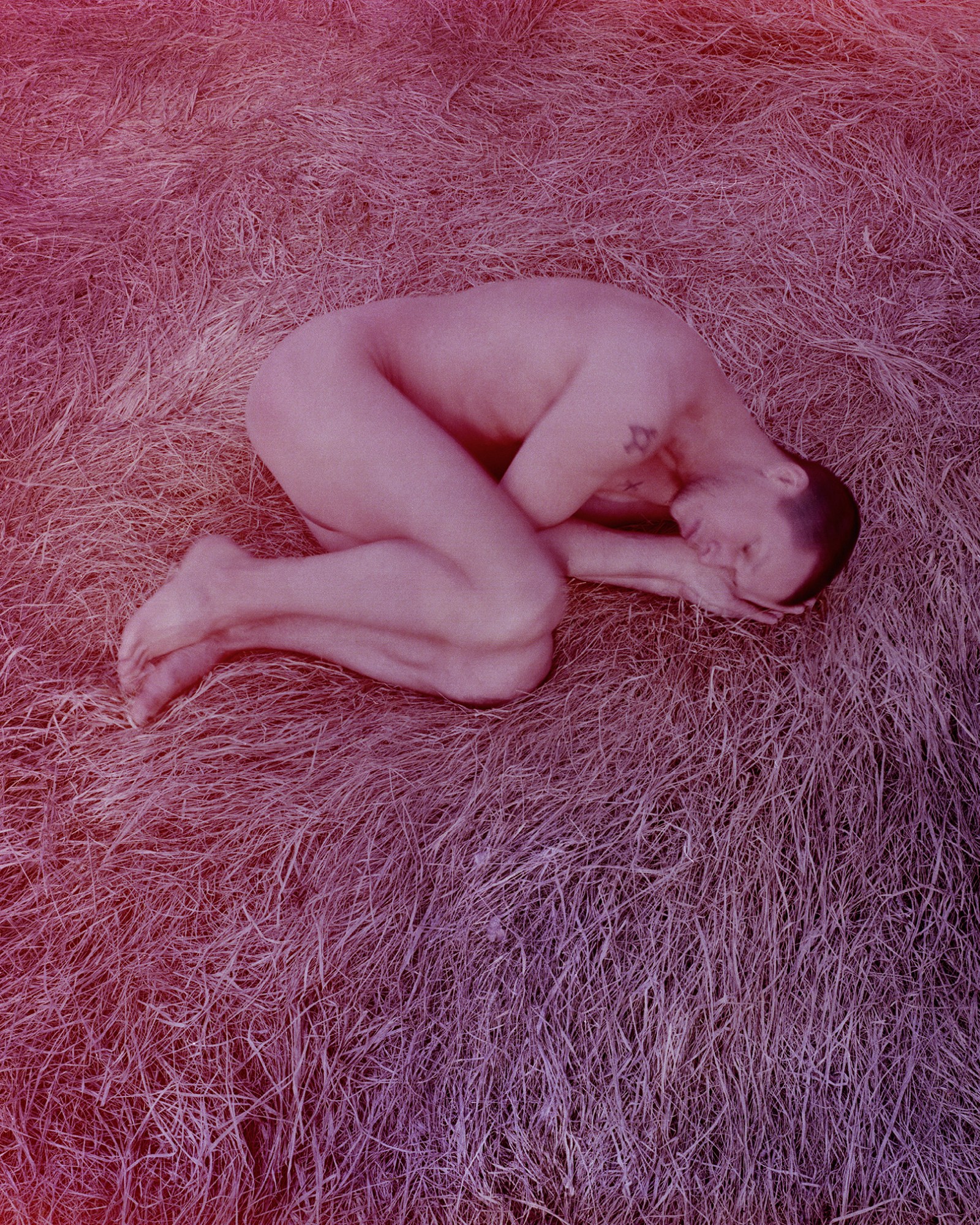 a naked man lays nude in the foetal position in a bed of hay; the image has a light pink filter on it