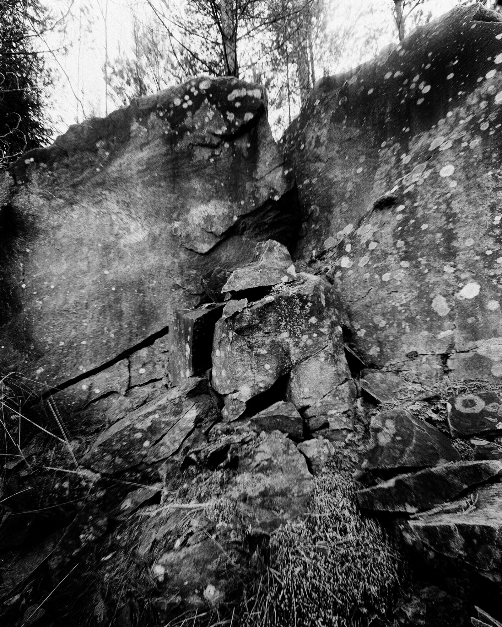 a black and white image of a rock face