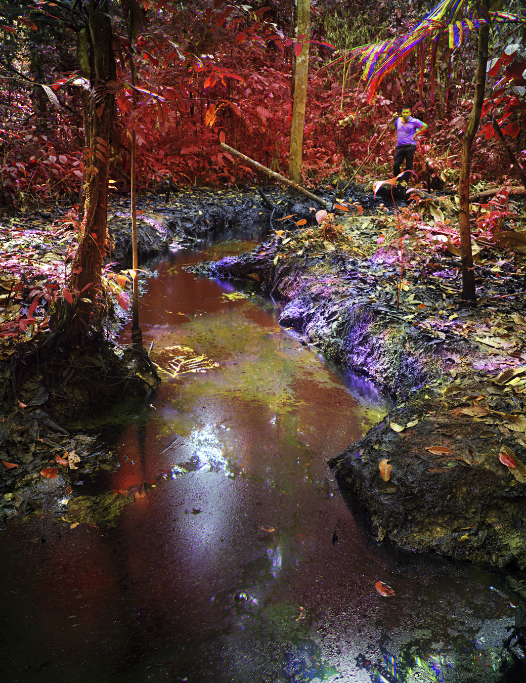 Photograph from Richard Mosse's immersive video artwork Broken Spectre ofan oil spill on Kichwa Territory