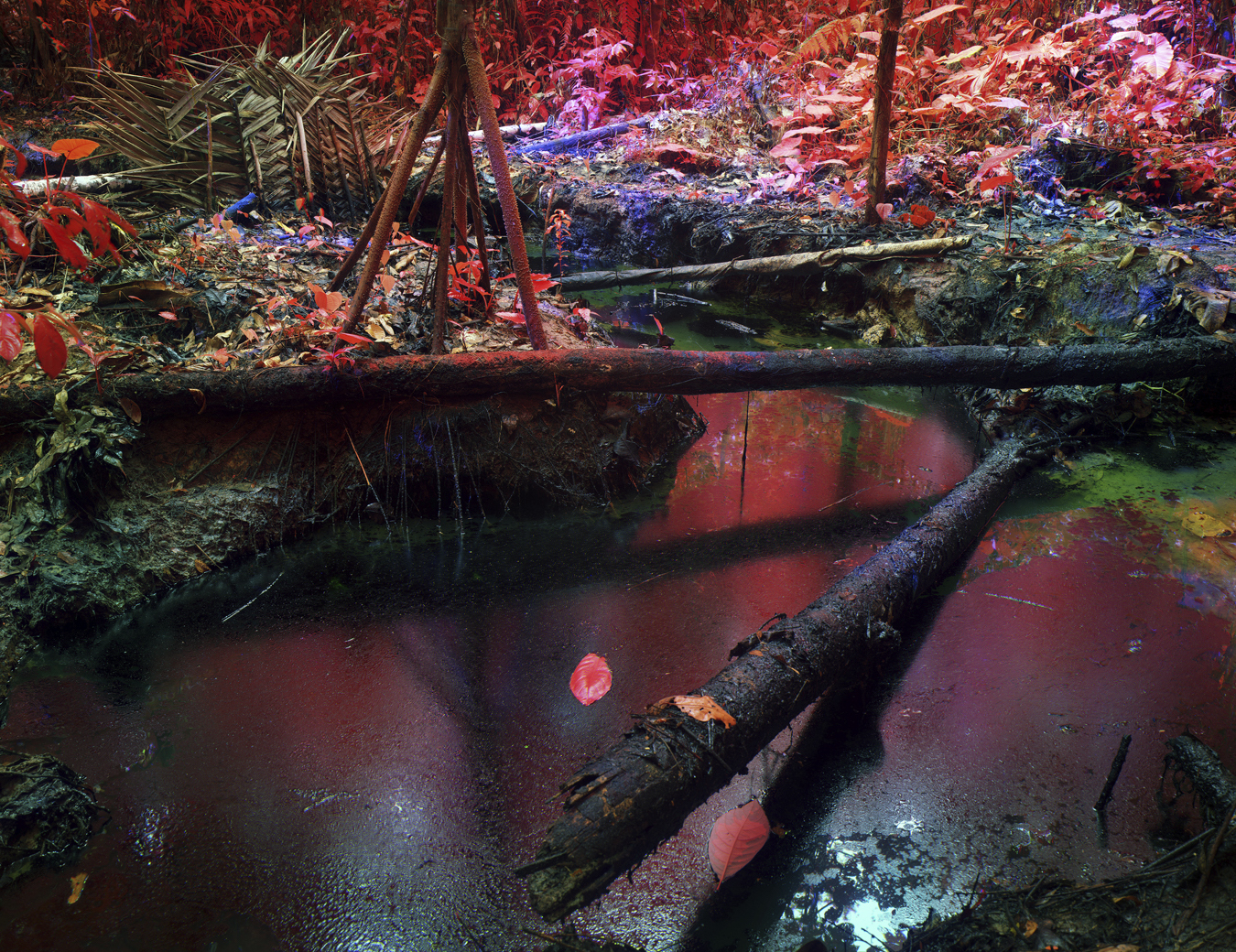 Photograph from Richard Mosse's immersive video artwork Broken Spectre of an oil spill on Kichwa Territory