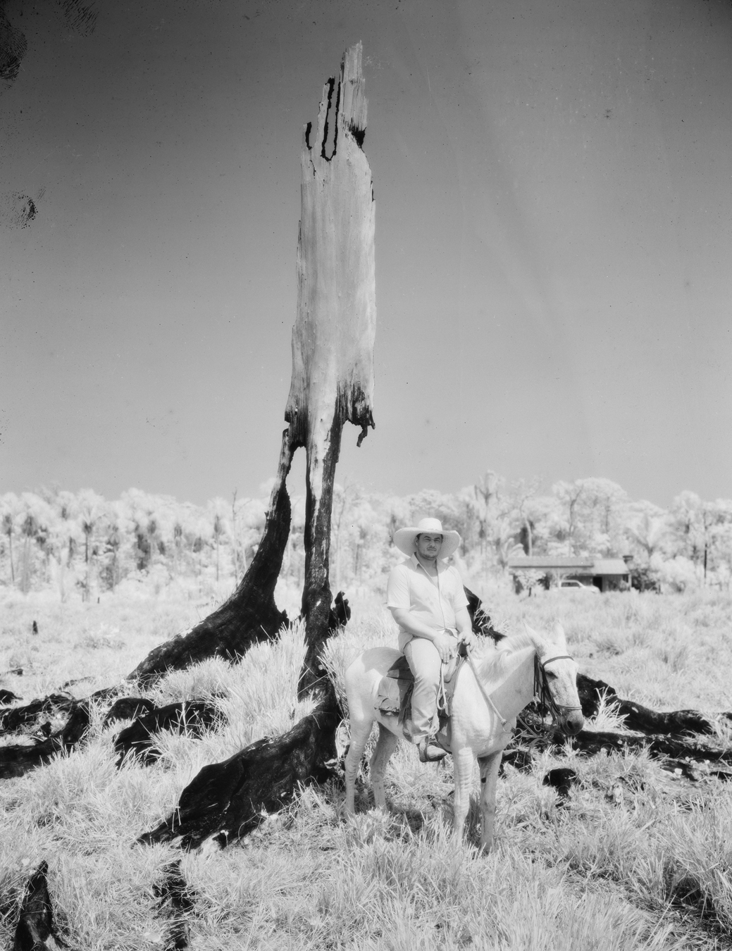 Photograph from Richard Mosse's immersive video artwork Broken Spectre of a man riding a horse