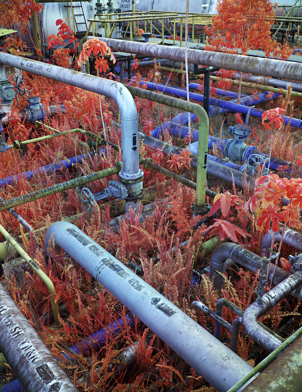 Photograph from Richard Mosse's immersive video artwork Broken Spectre of an Abandoned Oil Plant Infrastructure in Kichwa Territory