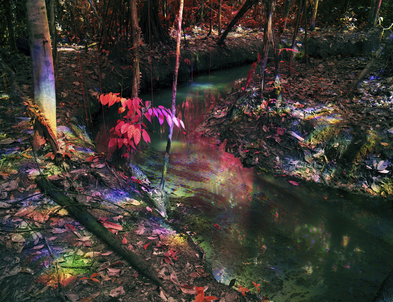 Photograph from Richard Mosse's immersive video artwork Broken Spectre of an oil spill on Kichwa Territory