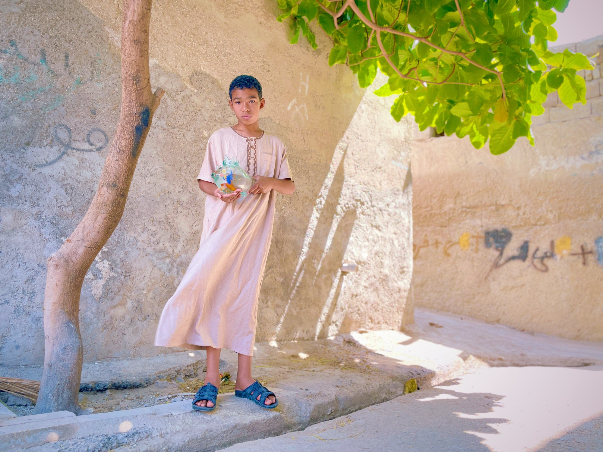 A young boy stands in front of a tree in the street in Iran