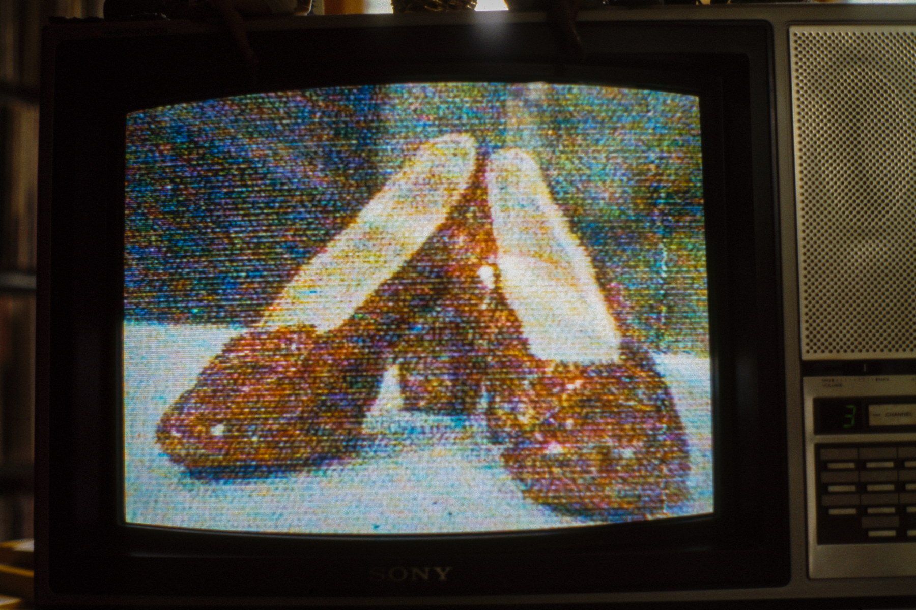 the ruby red shoes from the wizard of oz displayed on a television screen