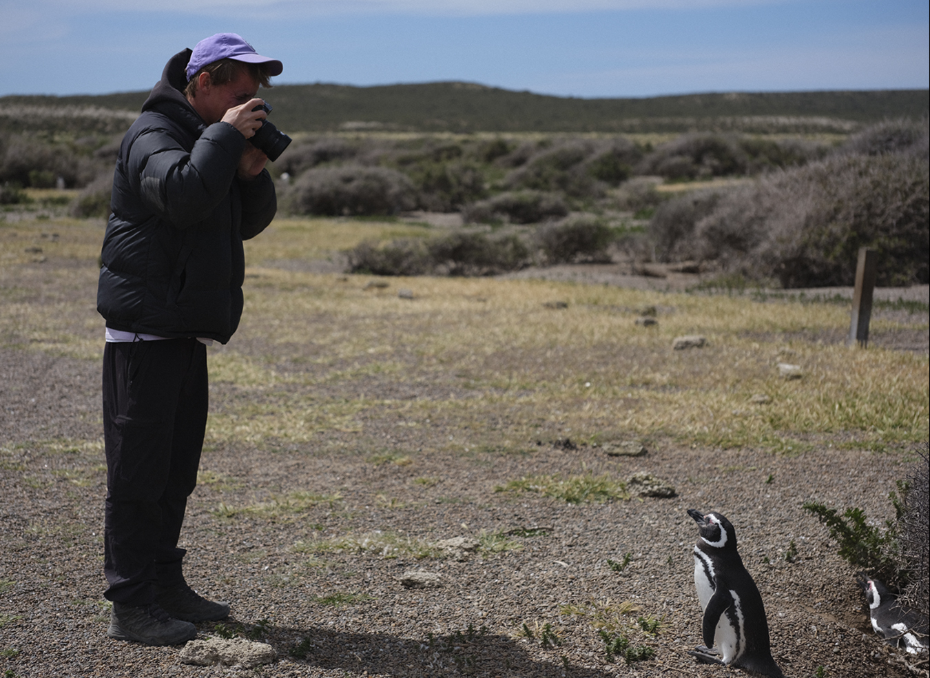 Colin Dodgson photographs a penguin in Estancia la Esperanza, Patagonia, Argentina photographed by Jonny Lu.