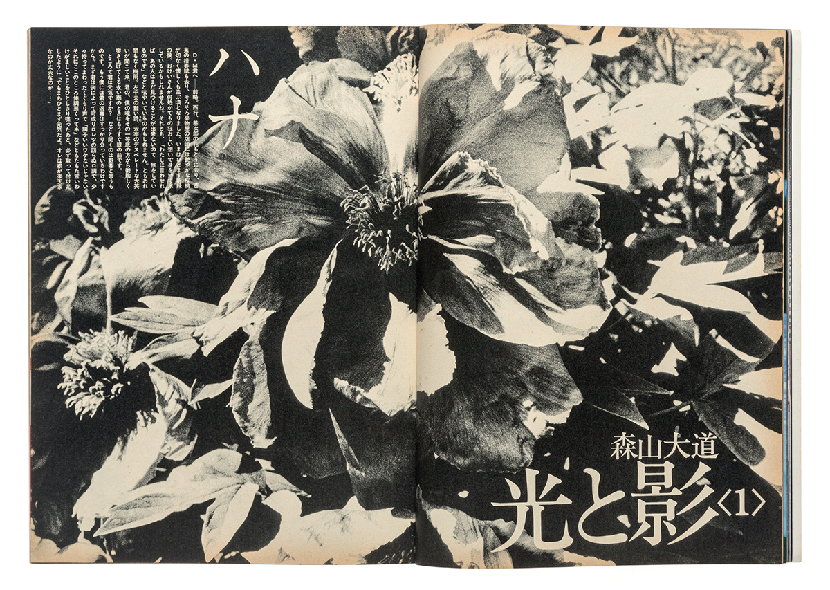 black-and-white image of a flower taken from a japanese magazine