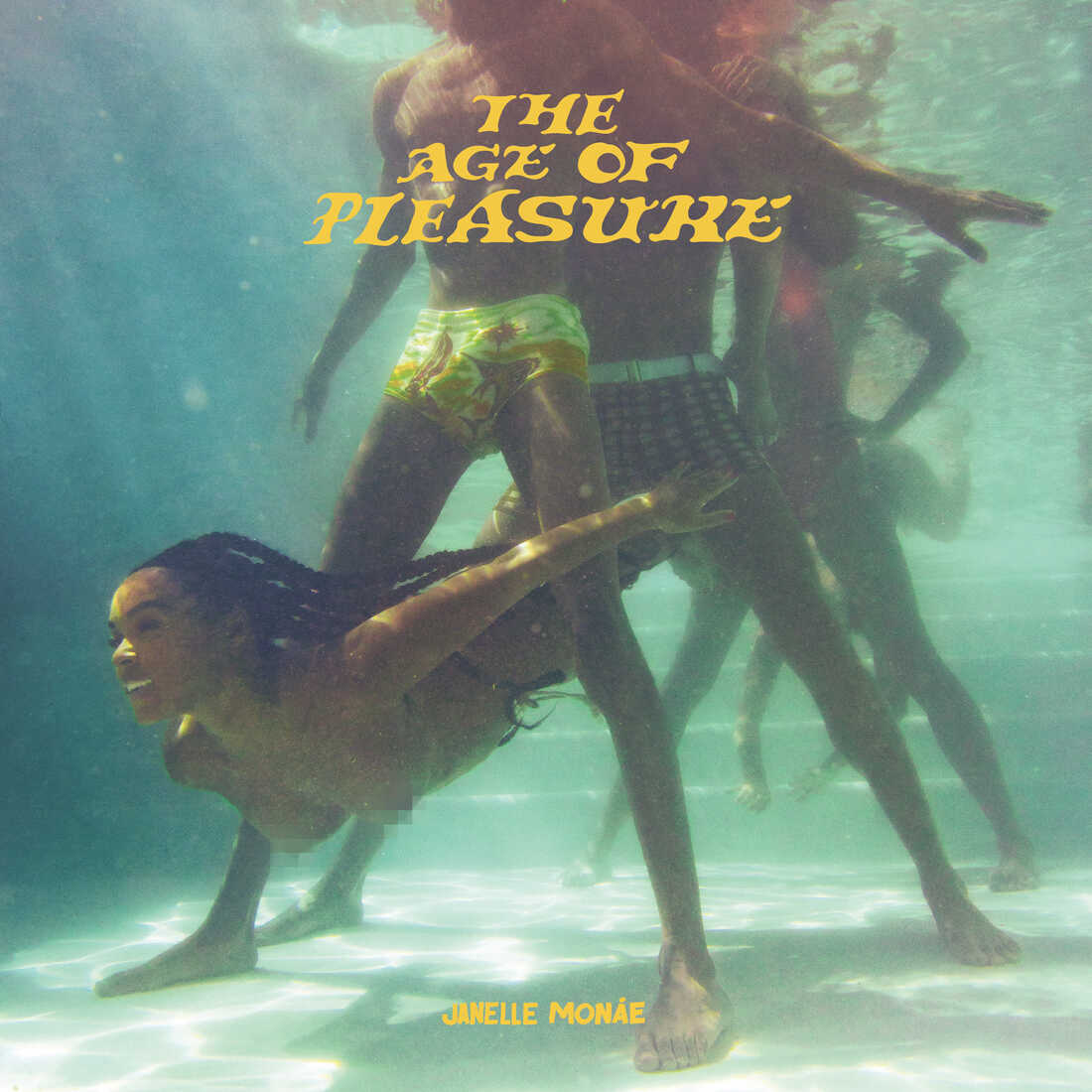 janelle monae the age of pleasure album cover