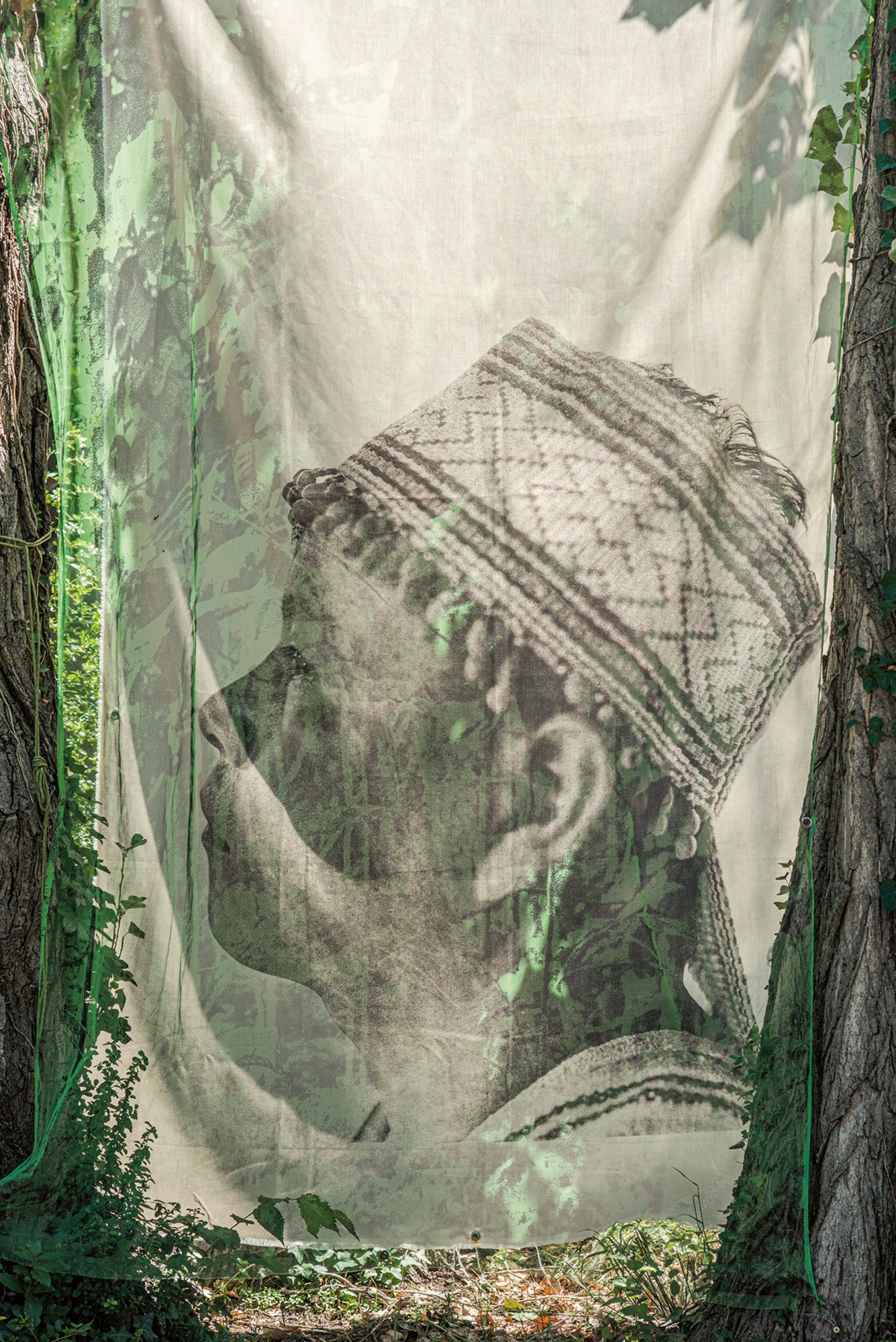 an image of a semi-opaque piece of fabric depicting an indigenous woman hangs in a woodland