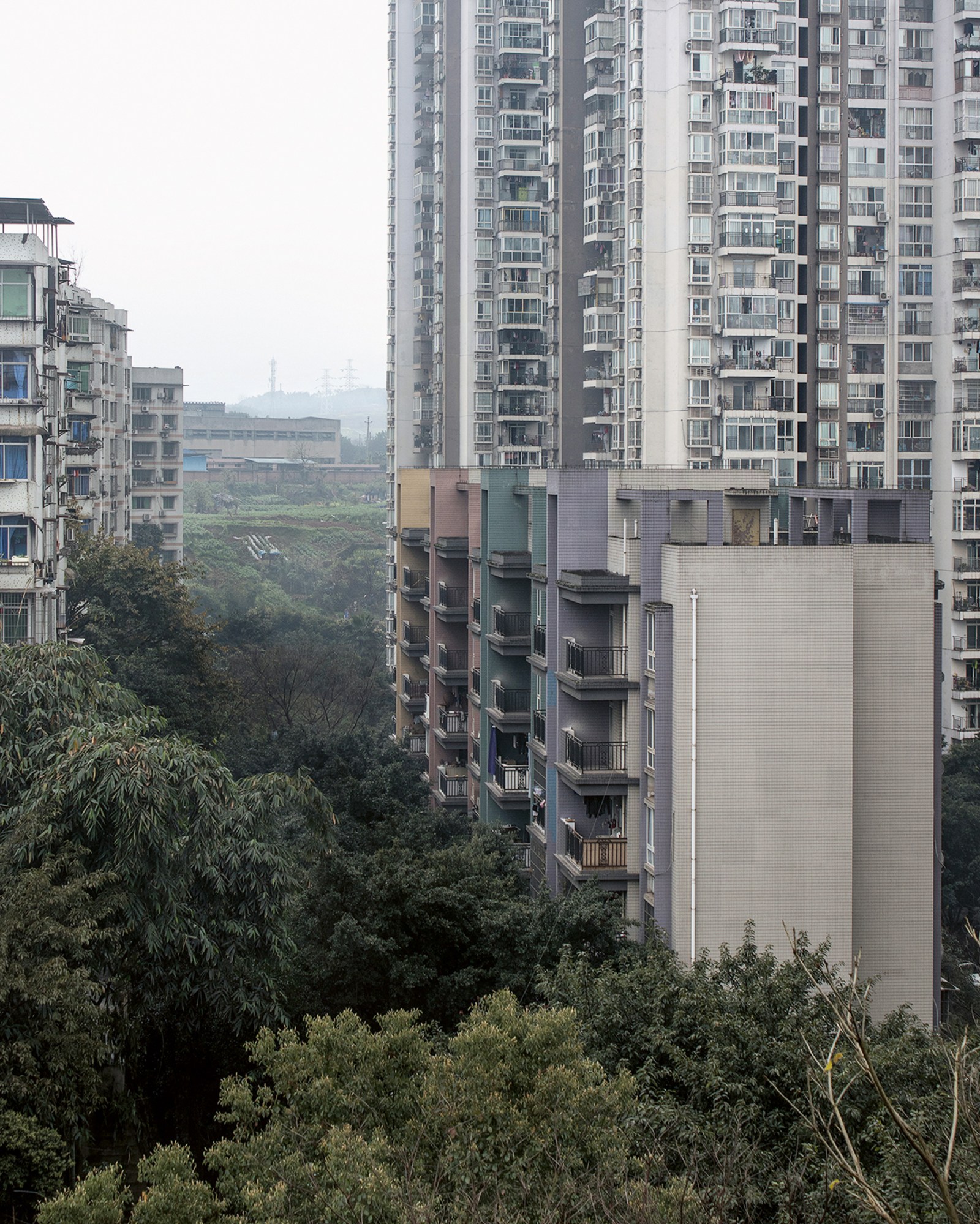 a landscape of high rise buildings surrounded by overgrown trees