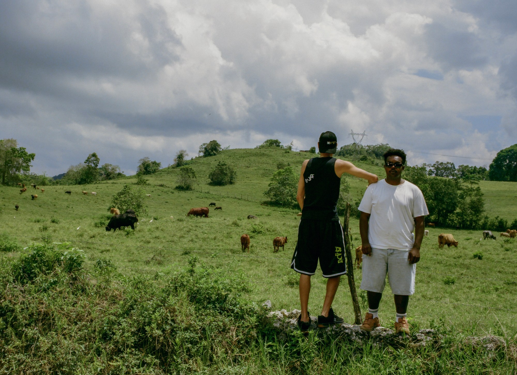 Photograph by Julian Klincewicz of men standing in a field with cows wearing DCV'87