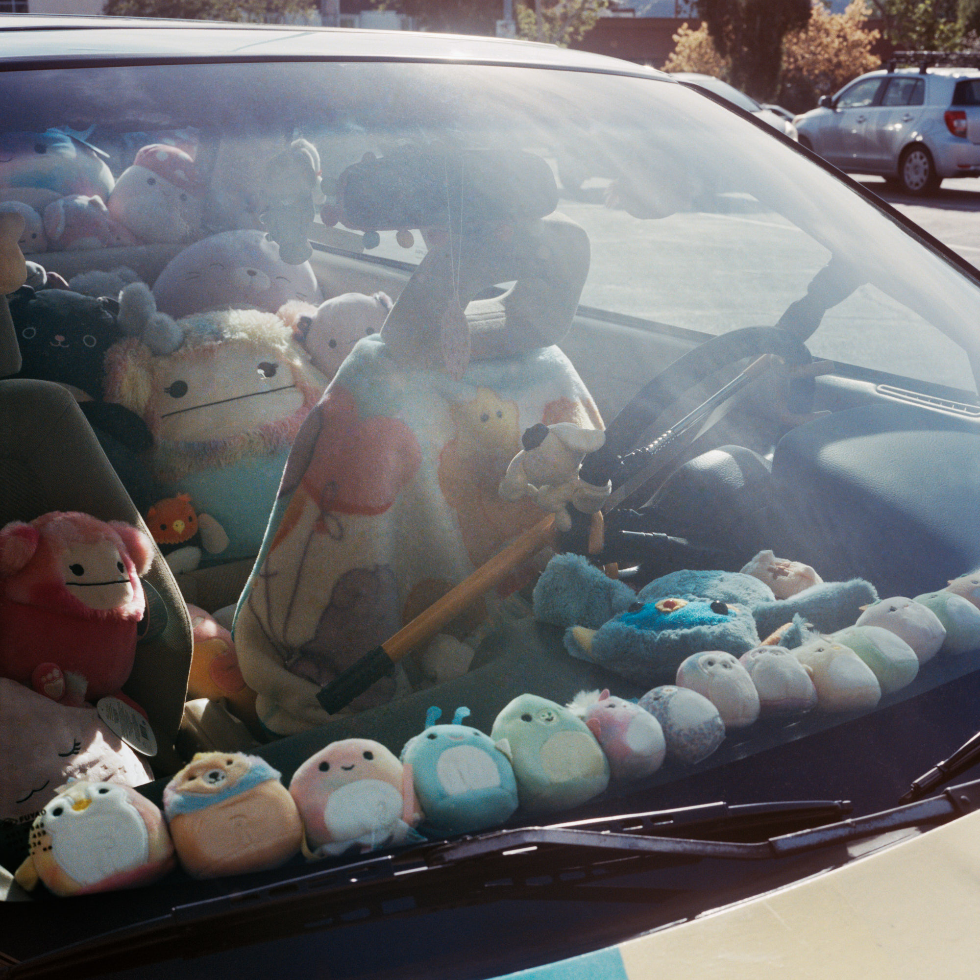 stuffed animals on the dashboard of a car