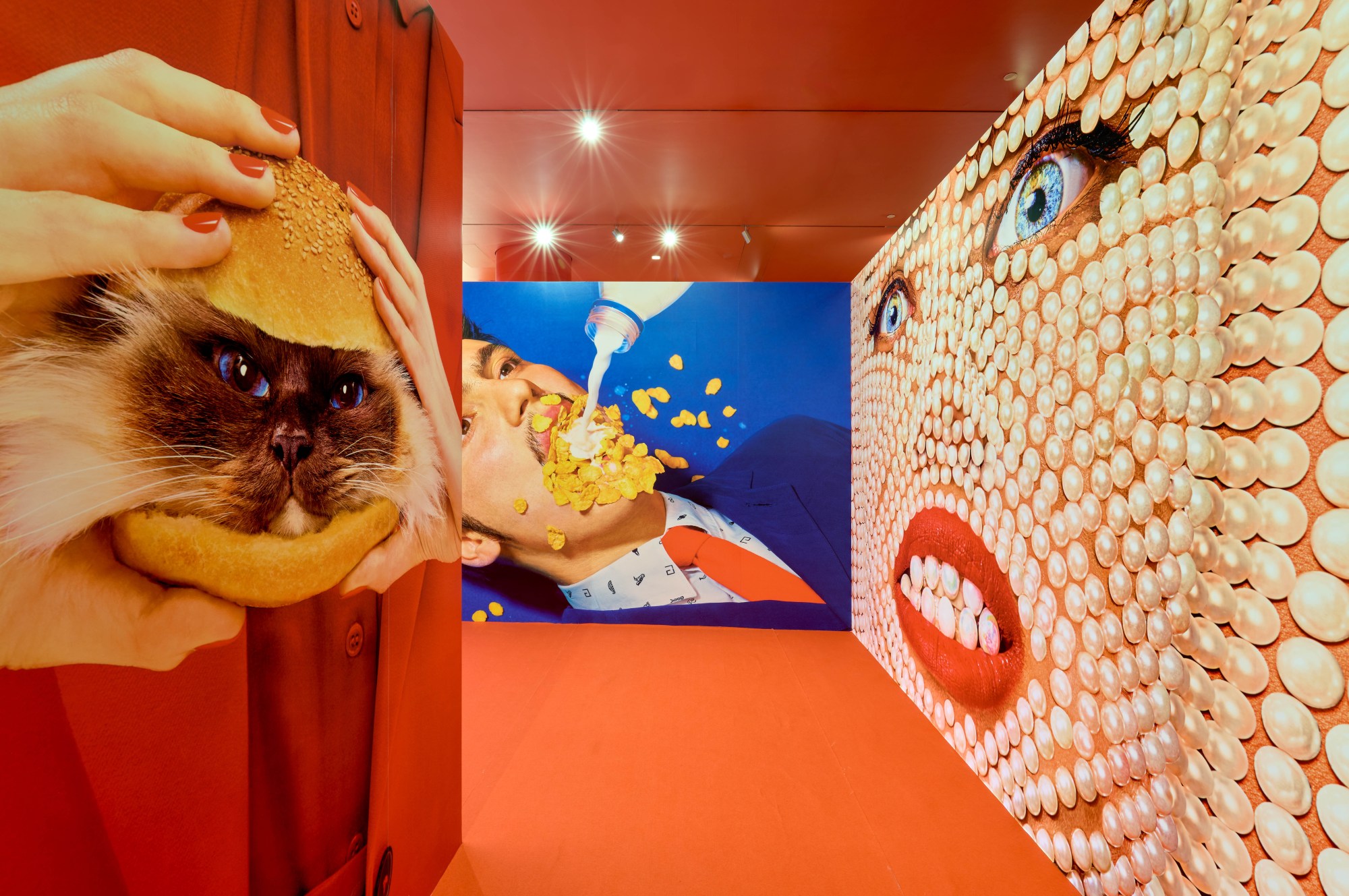 a section of Take a Left, Right? featuring images of a cat in a burger, a man having cereal and milk poured into his mouth and a woman's face covered in pearls