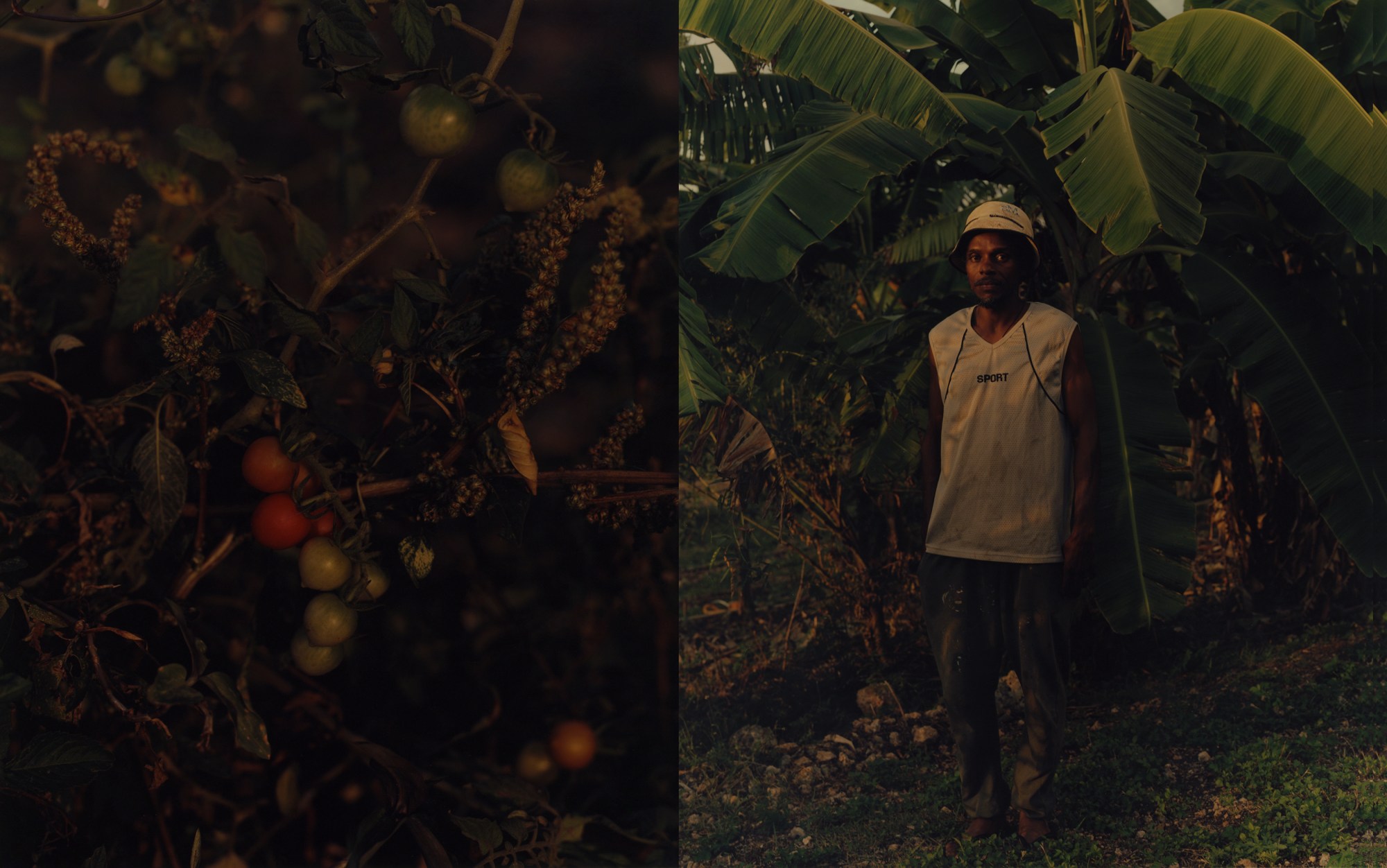 young man in white jersey and hat standing near tropical trees