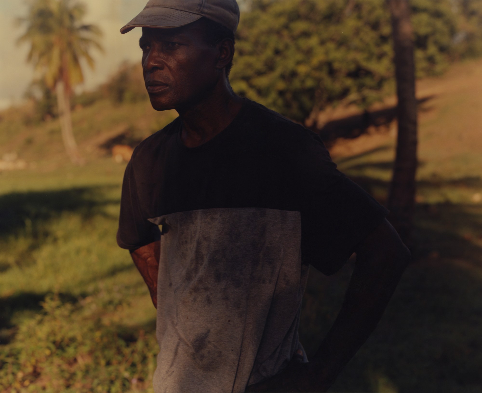 a man with a hat standing in a grassy field