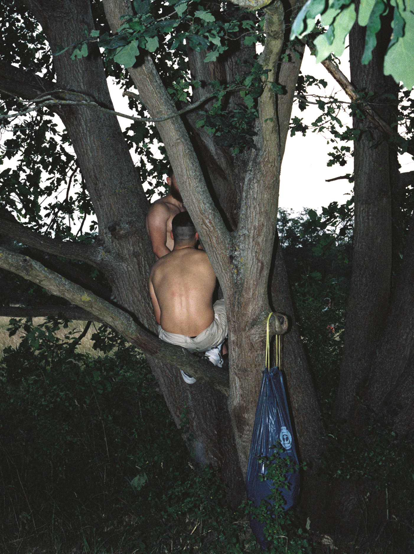 Zwei Männer sitzen in einem Baum, LUKAS STAEDLER Hain