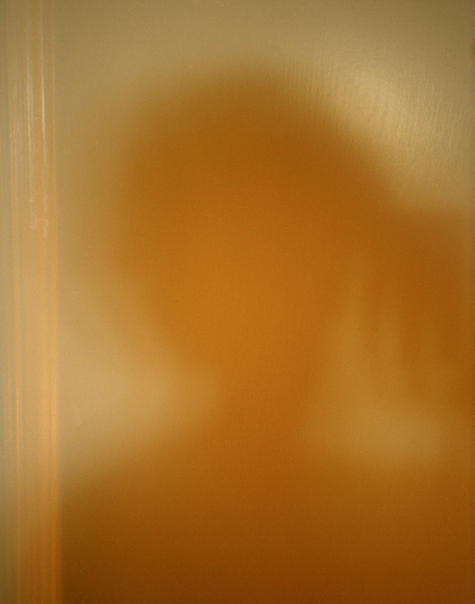 a shadowy self portrait of angelo capacyachi