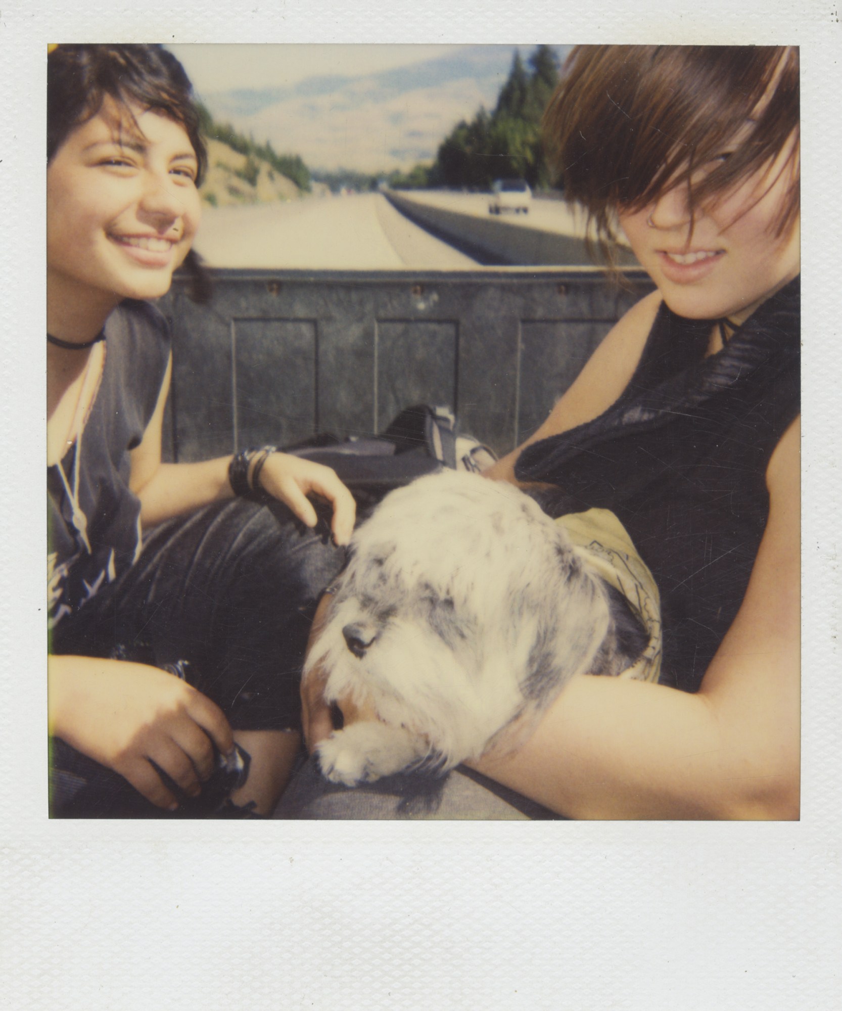 a polaroid of two models sit smiling in the back of a truck with a fluffy dog in hand