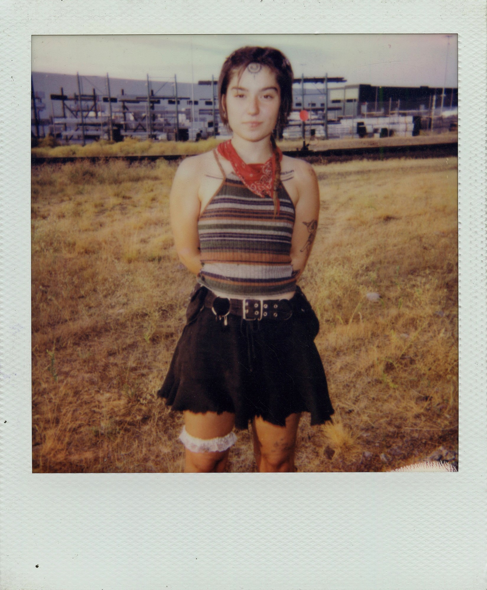 polaroid of slack standing in a grassy field, industrial infrastructure in the background