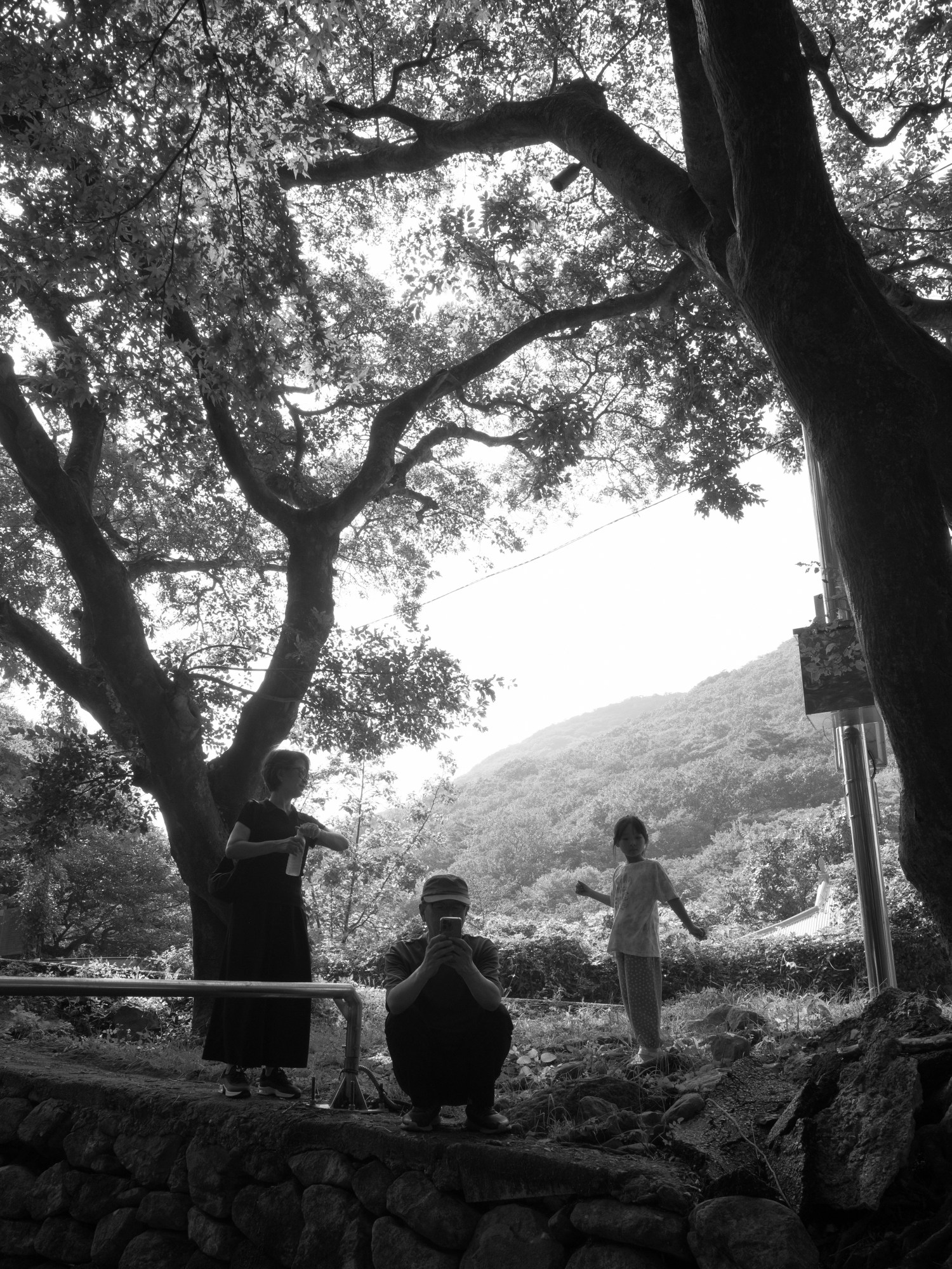 two adults and a child standing near a large tree