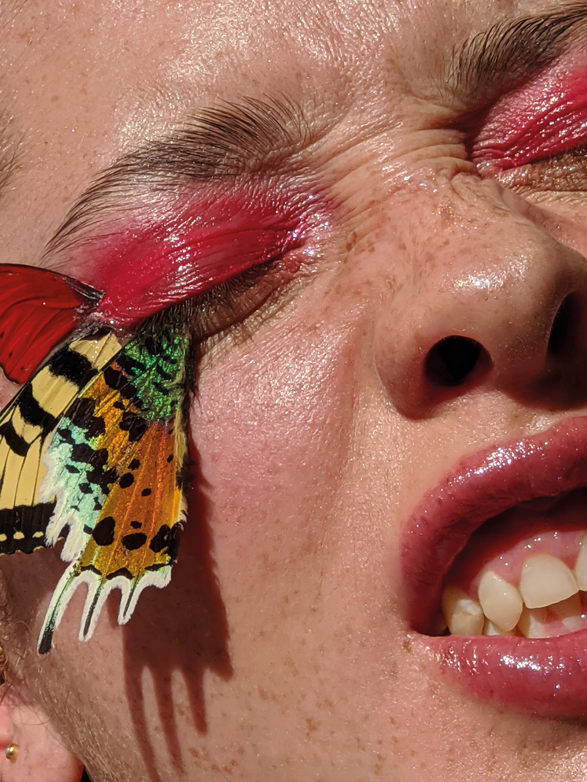 close up of pink eyeshadow and butterfly wings by mayan toledano