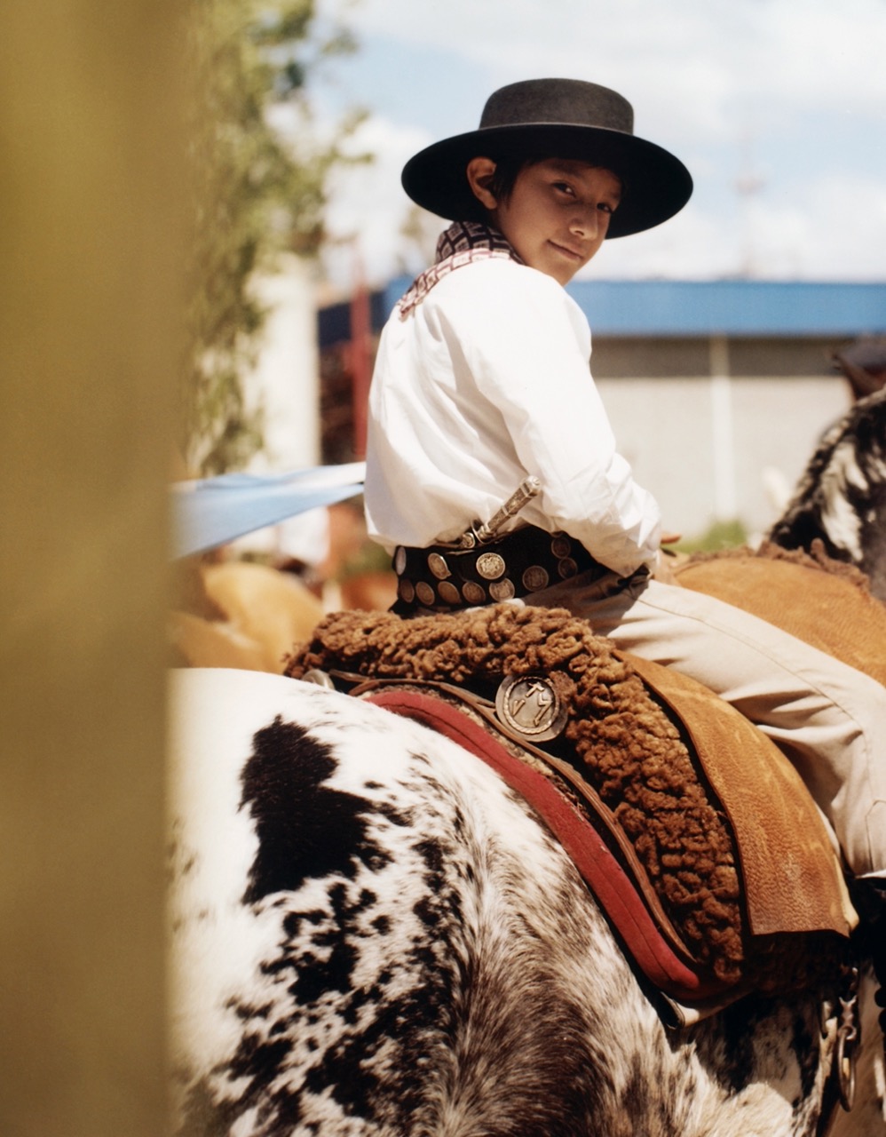 a young gaucho on a horse