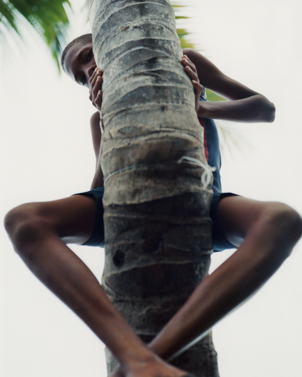 a young boy straddling a palm tree