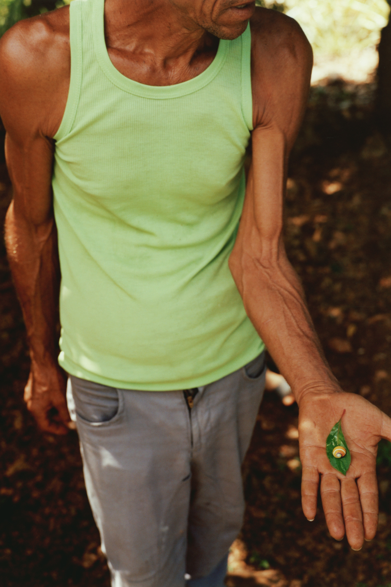 an older man holding a small green leaf topped by a small shell