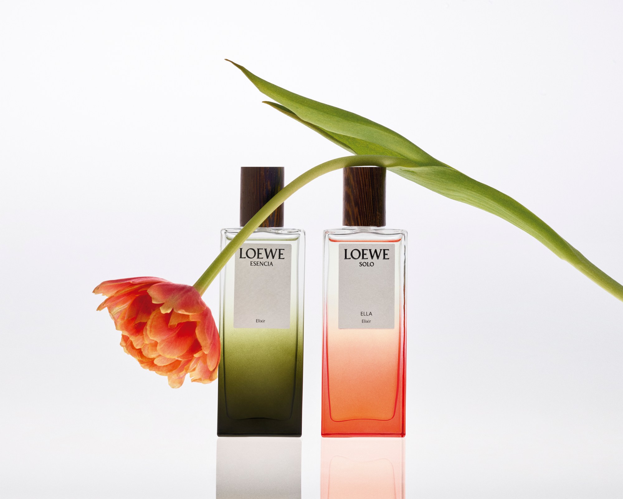 Loewe's still life Elixir bottles, with a pink flower draped over them