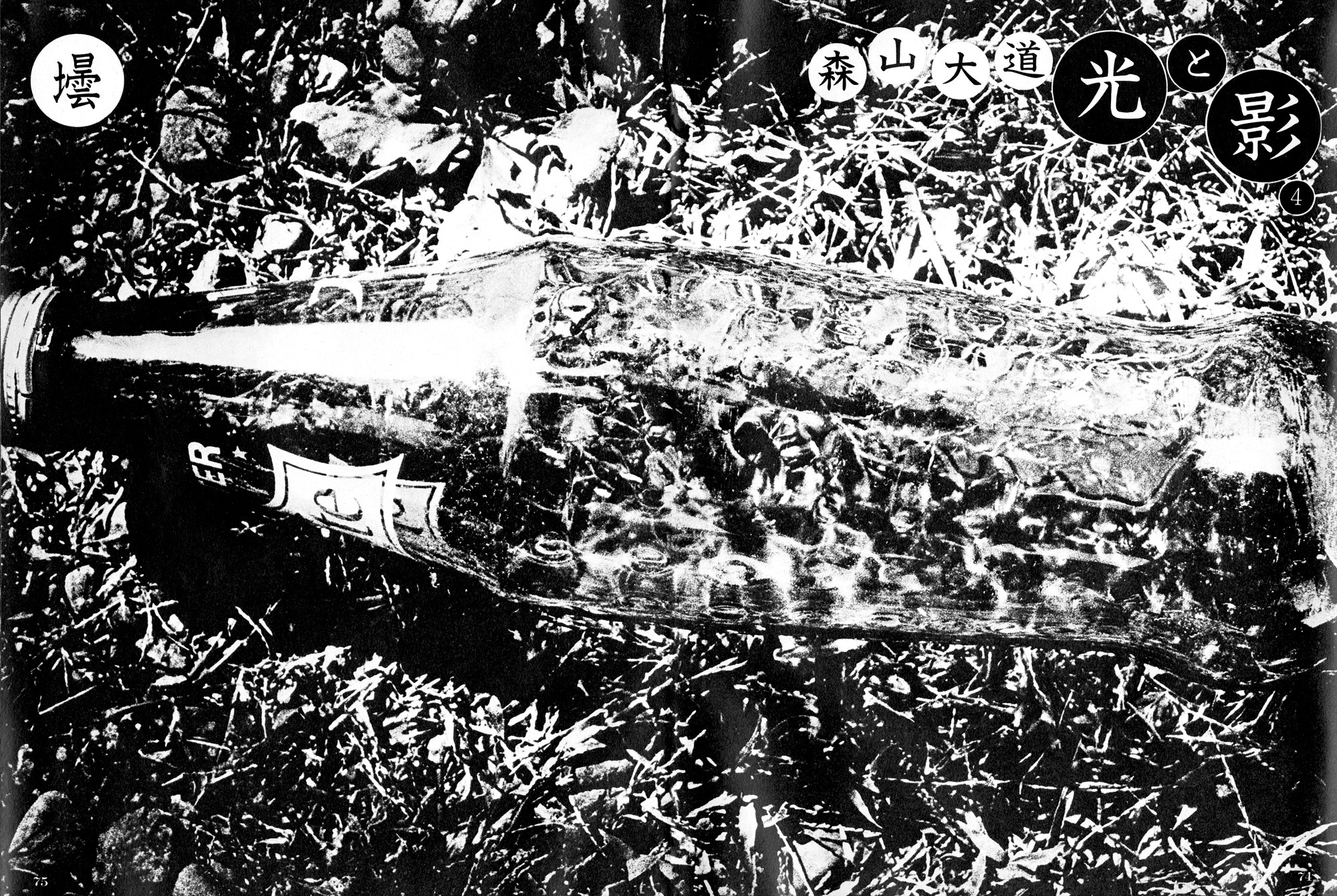 black-and-white overexposed image of a glass bottle on grass