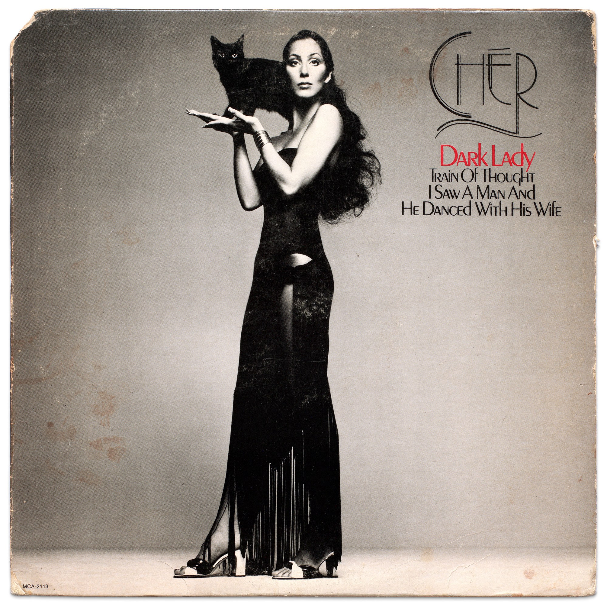 cover of cher's dark lady album, she is wearing a full length black gown and holding a black cat