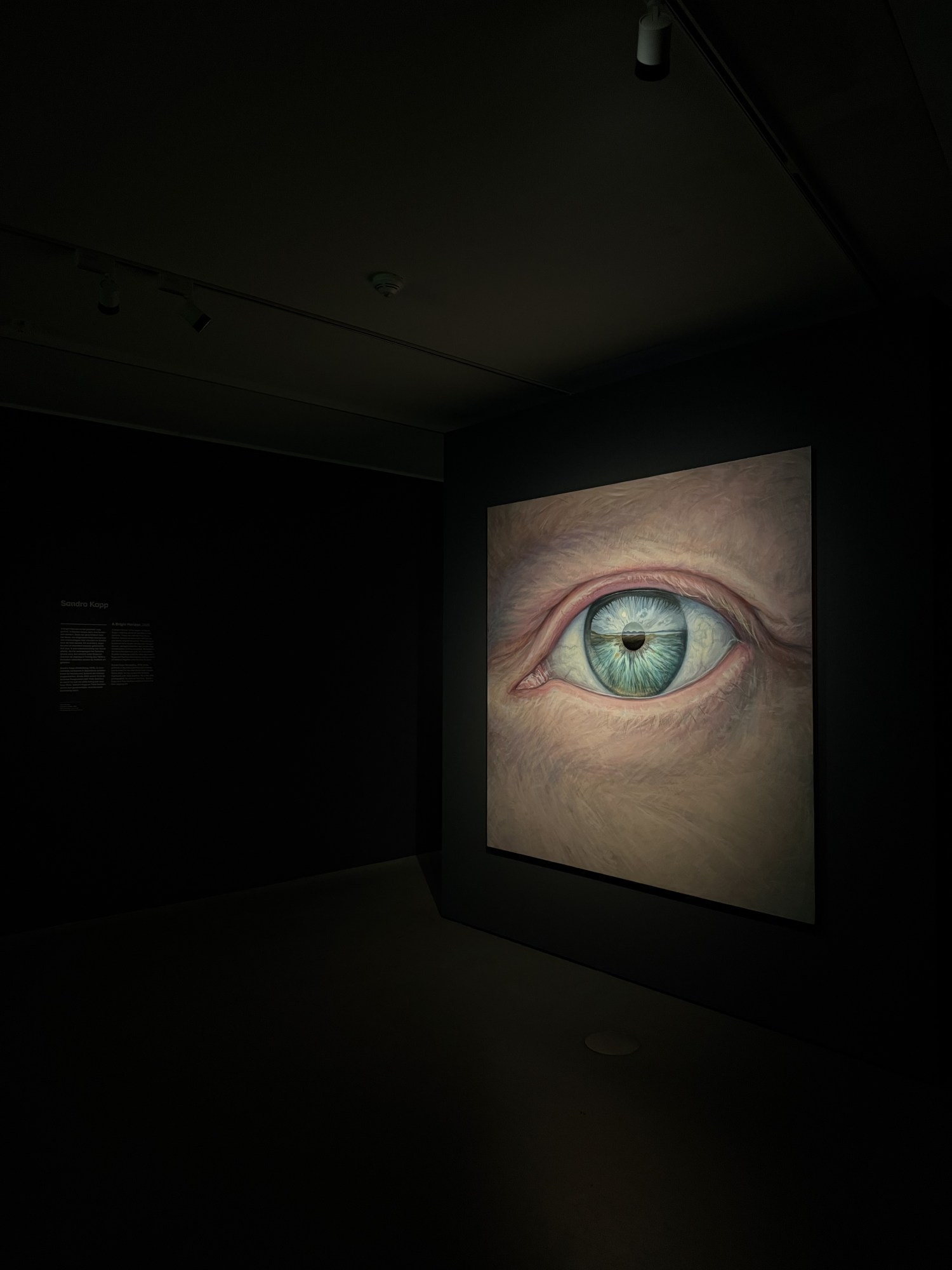 a painting by sandro kopp from tilda swinton's ongoing exhibition in amsterdam eye filmmuseum