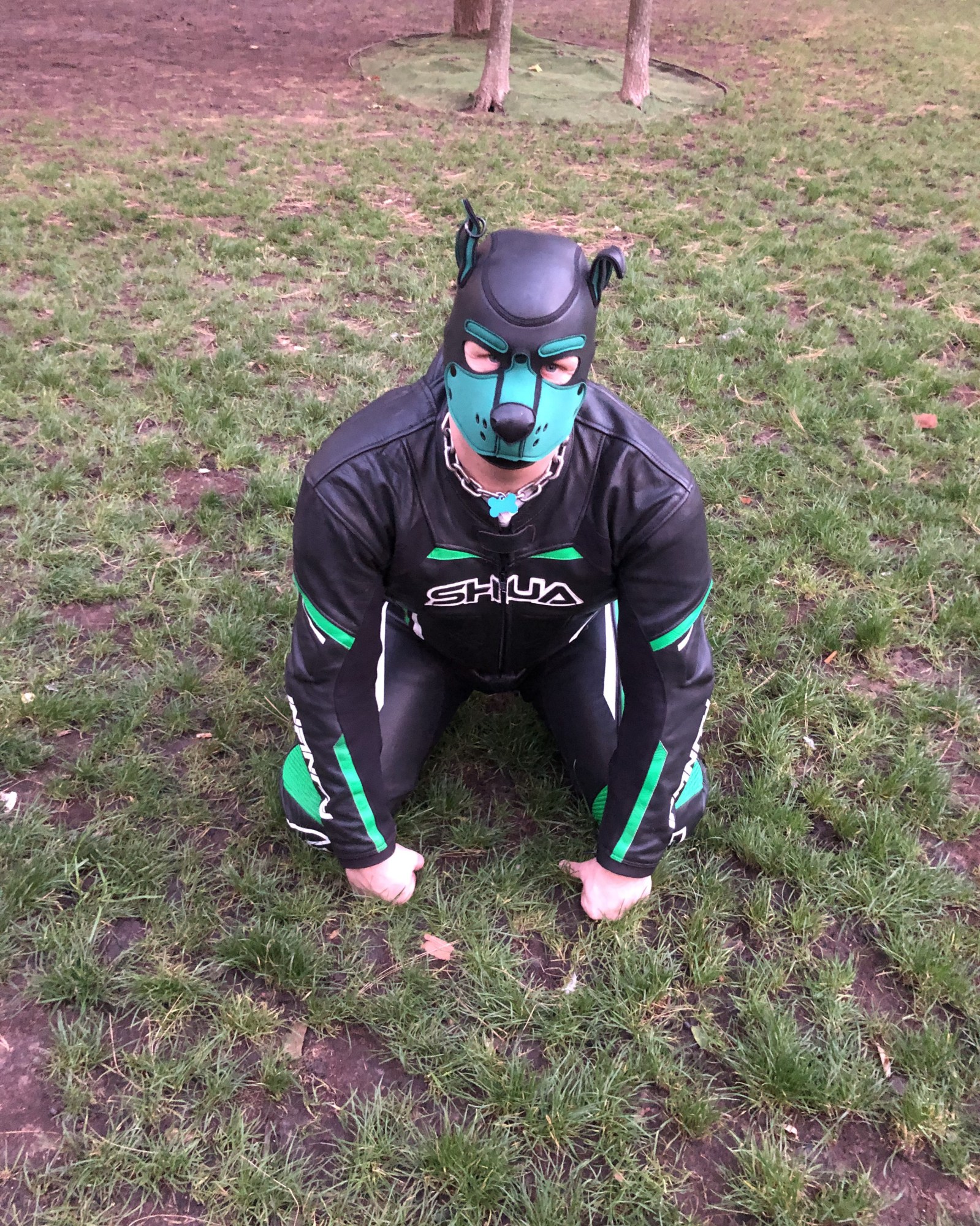 pillion pup kvasir bdsm movie 2025